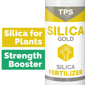TPS Nutrients Silica Gold demonstrates strong stems and structural improvement