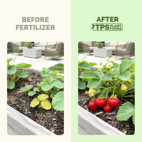 TPS NUTRIENTS Strawberry Fertilizer healthy-leaves supports balanced growth.