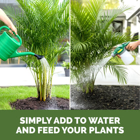 TPS NUTRIENTS tropical growth palm diet enhances vibrant, healthy palm development.