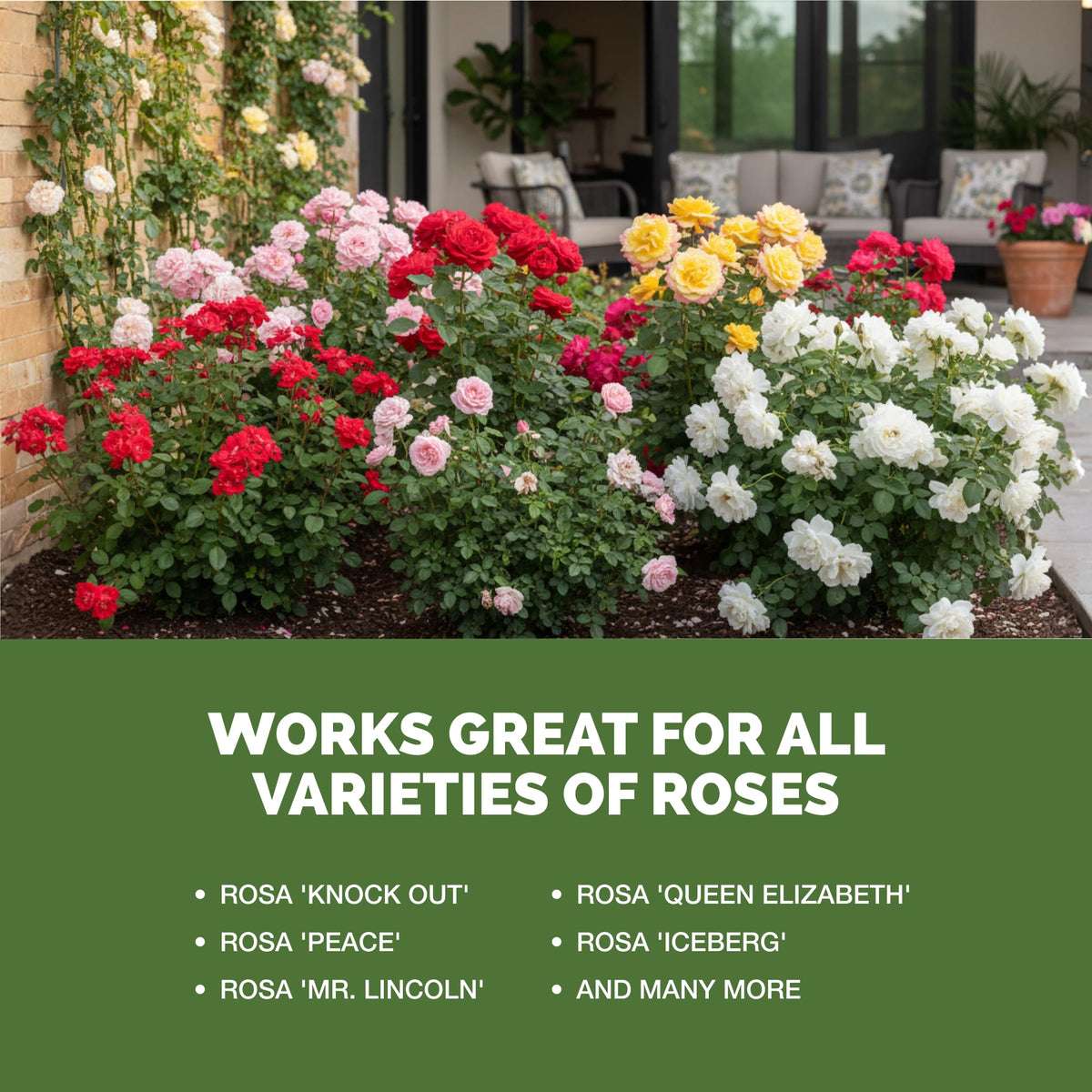 TPS NUTRIENTS USA-made rose fertilizer liquid delivers reliable garden nourishment.