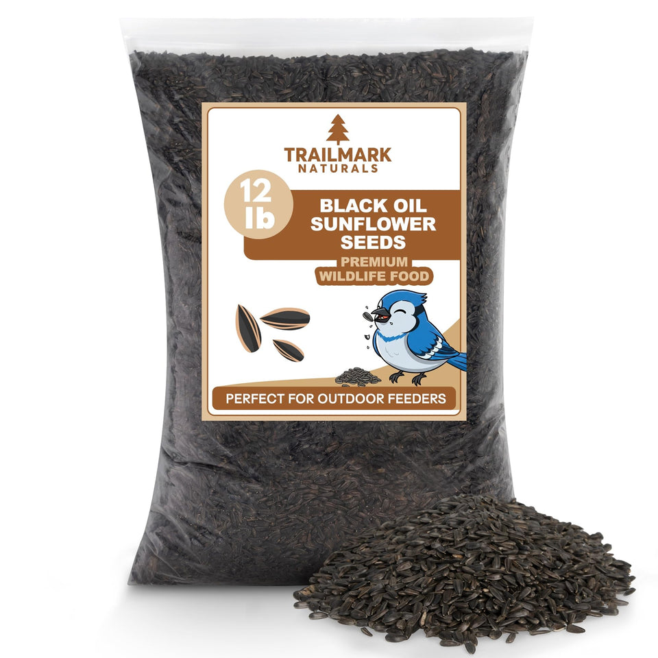 Trailmark Naturals black oil sunflower seeds in a bag for backyard feeders