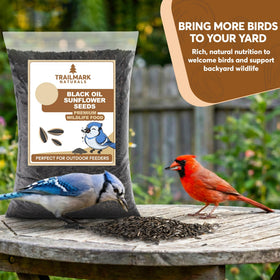 Trailmark Naturals bulk bird seed pack for easy storage and refills