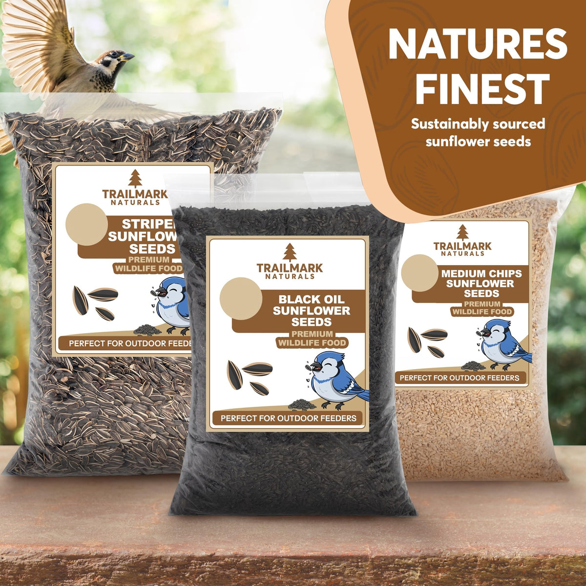 Trailmark Naturals USA-grown seeds displayed with birds visiting