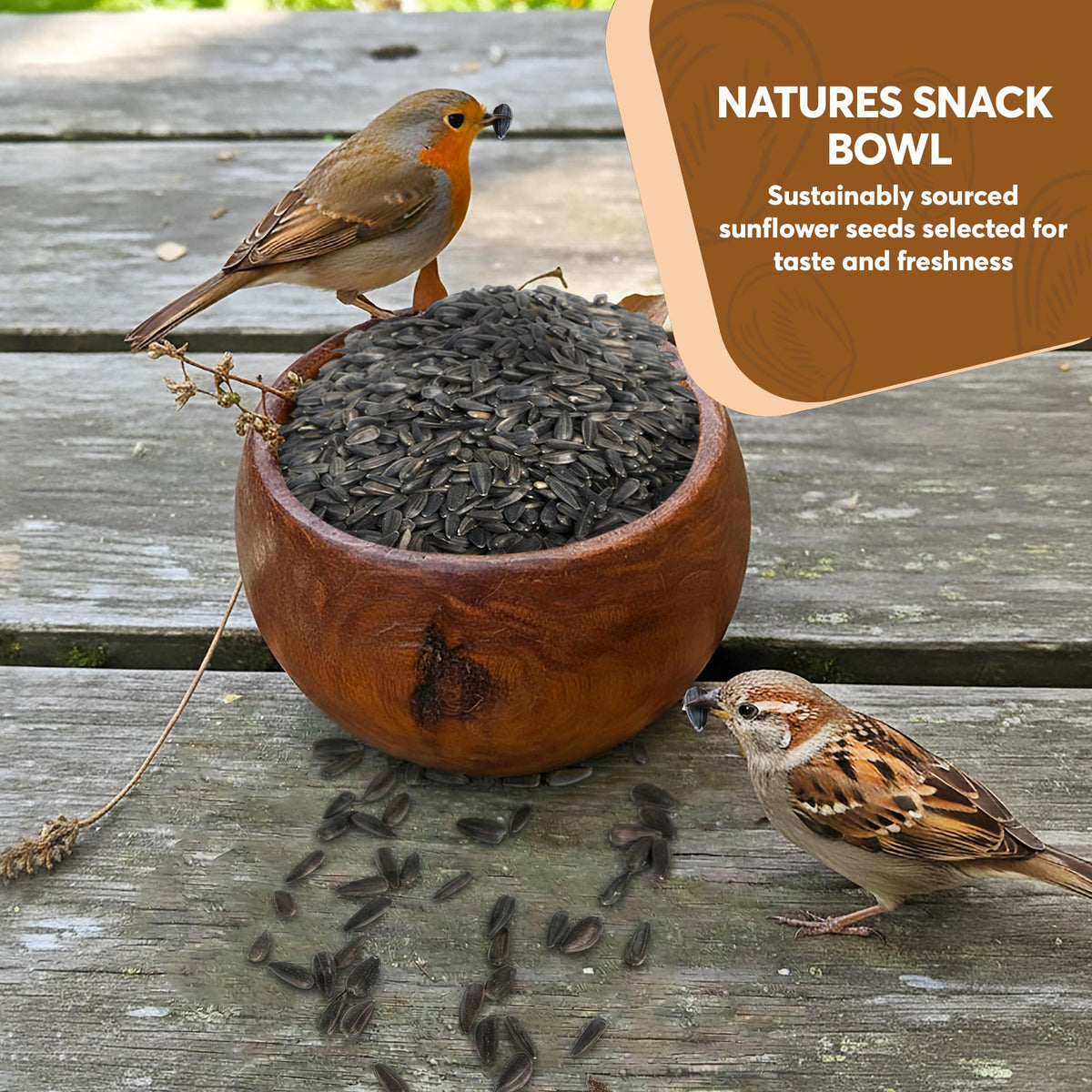 Trailmark Naturals seeds in a tray feeder ready for birds