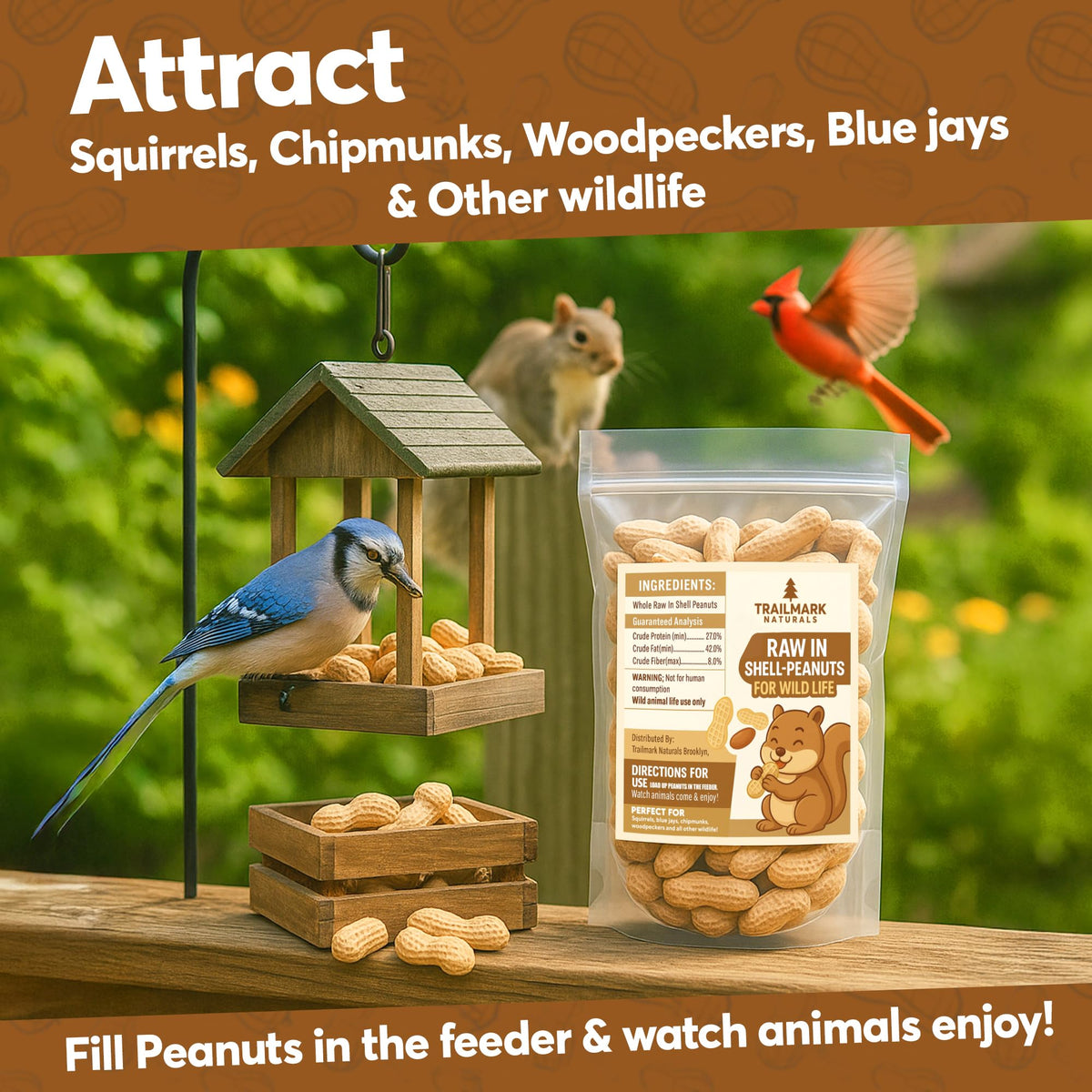 Trailmark Naturals squirrel-snacking — natural, protein-rich snack from shell.