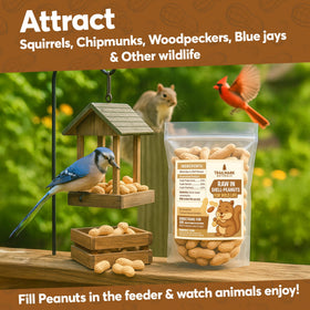 Trailmark Naturals squirrel-snacking — natural, protein-rich snack from shell.