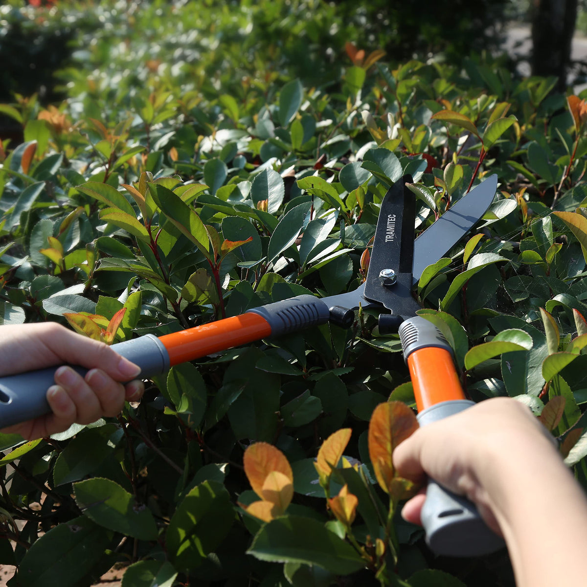 TRAMITEC hedge clippers with shock-absorbing bumpers reduce vibration.