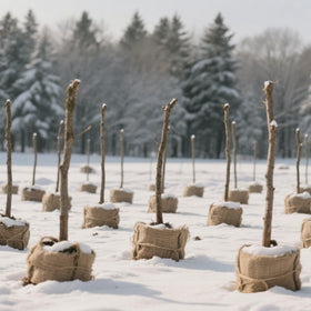 TravLand burlap gift wrap accents for rustic holiday gifting and crafts.