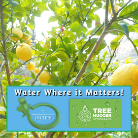 Tree Hugger eco-friendly irrigation solution used in a backyard garden