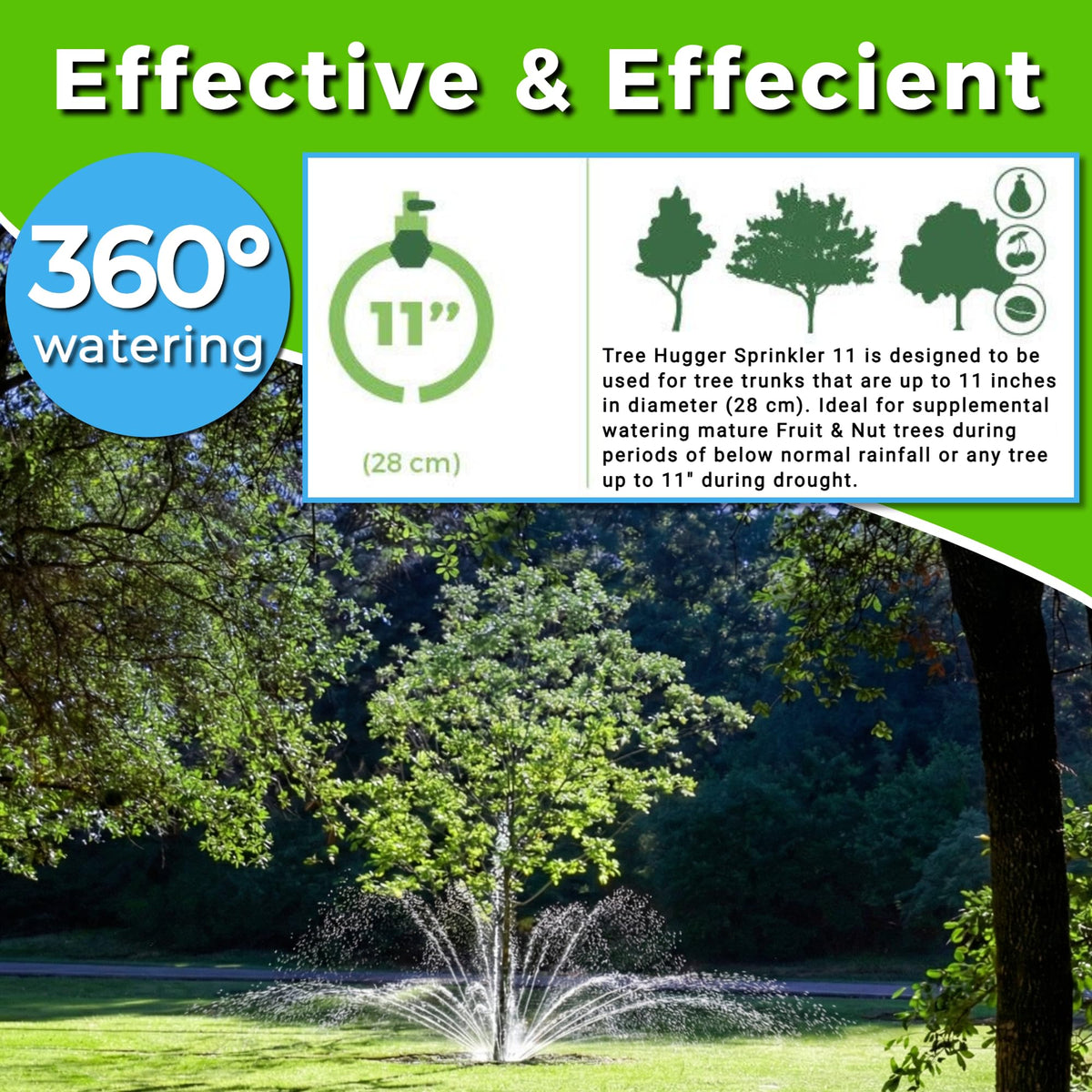 Focus on drip line with Tree Hugger watering ring for efficient hydration.