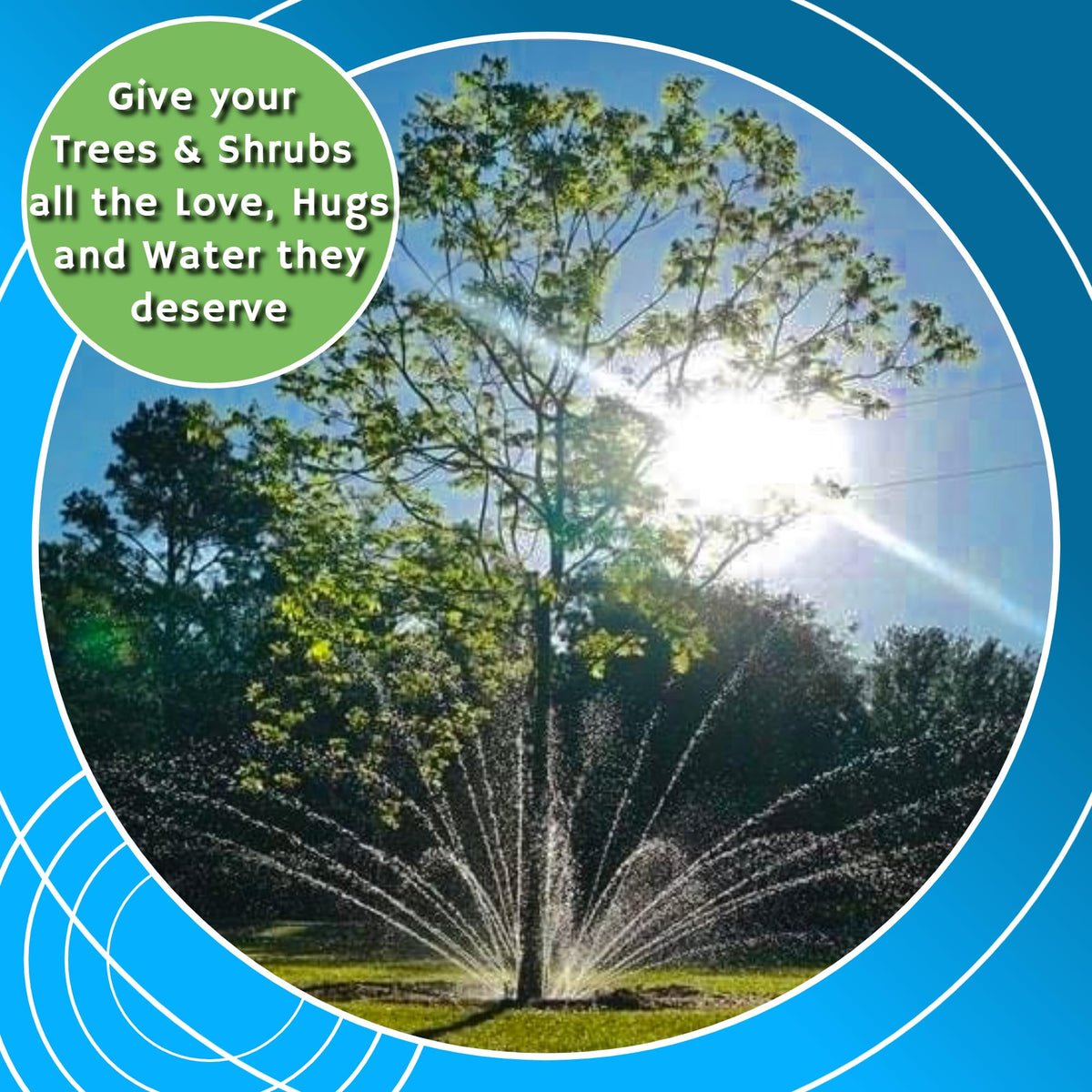 Tree Hugger portable watering circle demonstrated beside a young sapling
