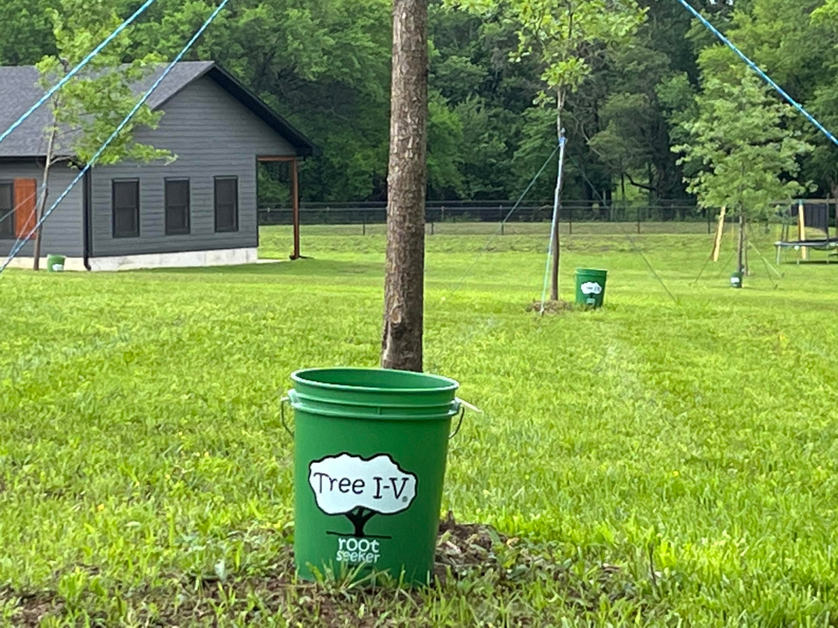 Tree I.V. four-system bundle ready for DIY irrigation projects
