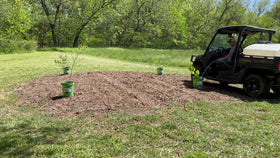Tree I.V. reused bucket with DIY root feeder attached
