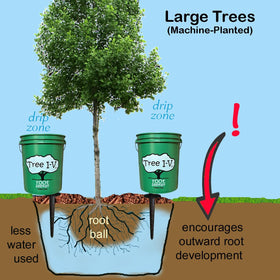 Tree I.V root-well soak depicts deeper hydration with less water