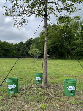 Tree I.V weekly watering image suggests routine care for trees
