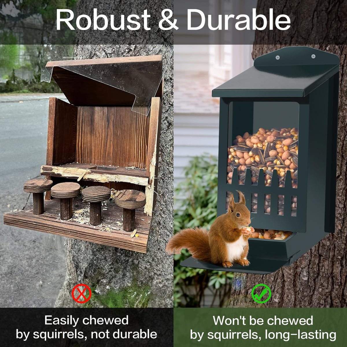 TreeGun feeder front acrylic view highlights easy access for squirrels.