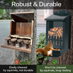 TreeGun feeder front acrylic view highlights easy access for squirrels.