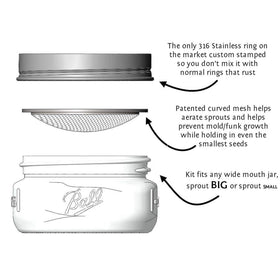Trellis & Co stainless sprouting lid, durable and sterilizable for repeated use.