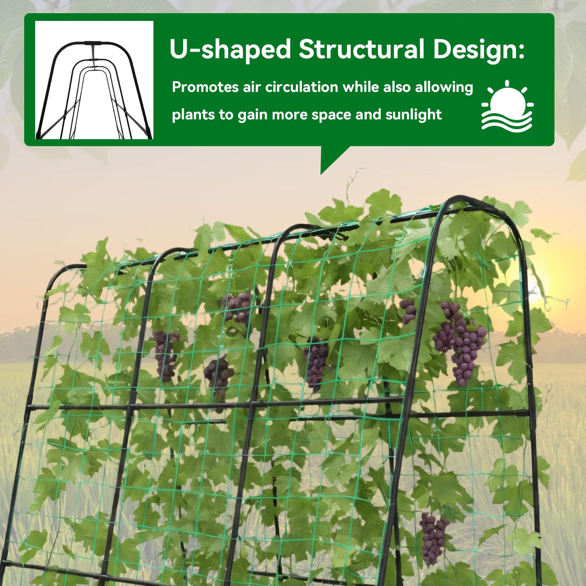 Trellume Cucumber Trellis being assembled with simple instructions