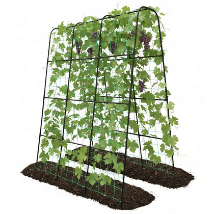 Trellume Cucumber Trellis with U-shape in raised bed supporting climbing plants