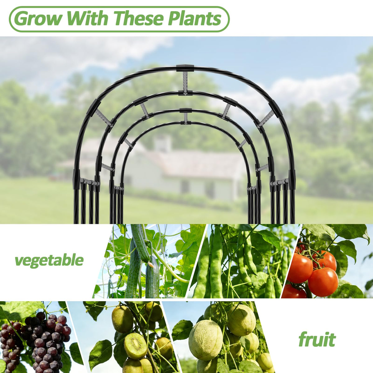 Trellume Garden Arch Trellis provides ample dimensions for easy harvests