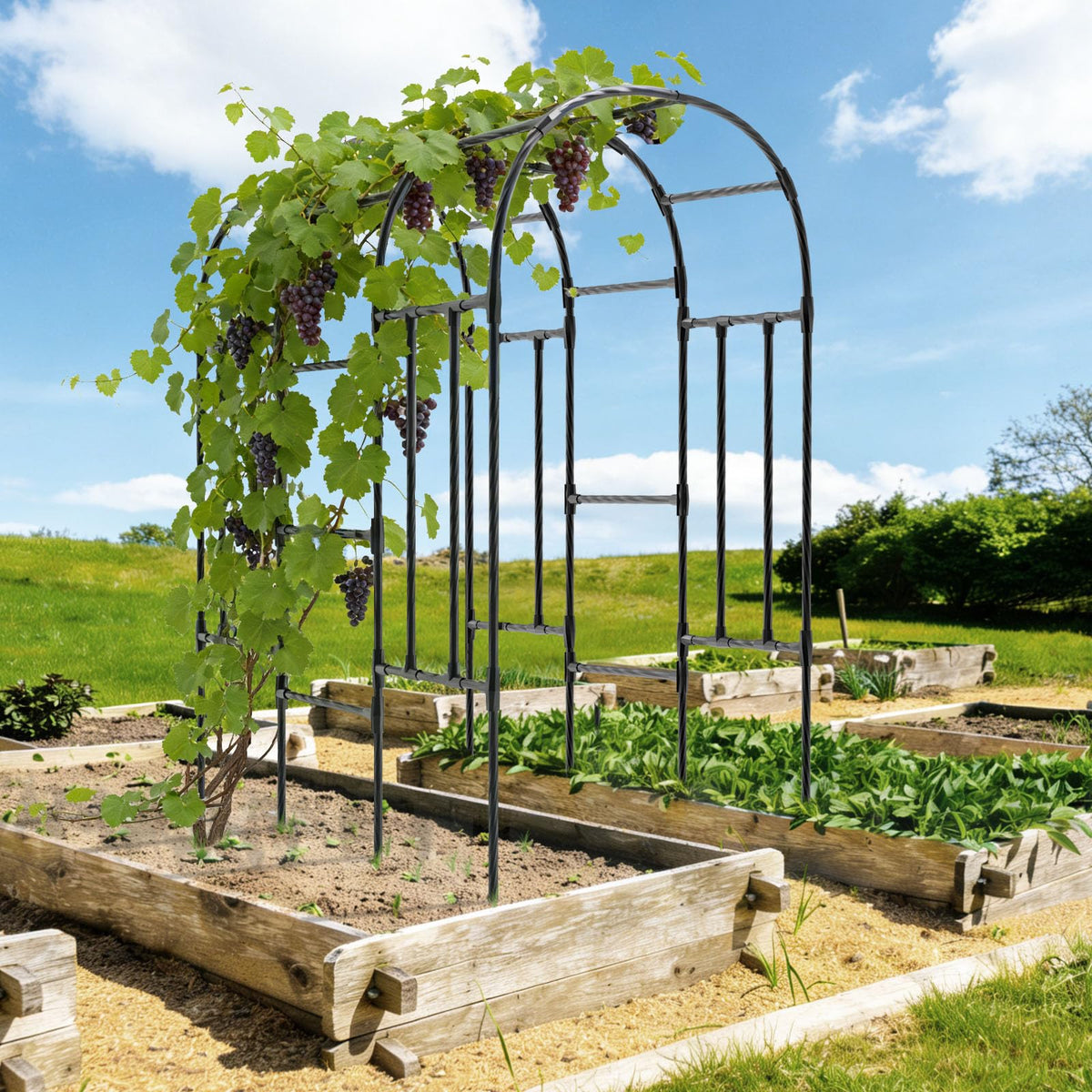Trellume Garden Arch Trellis installs quickly with simple assembly