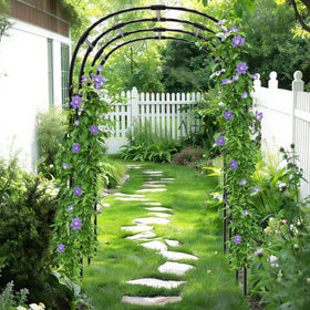 Trellume Garden Arch Trellis creates a tunnel for climbing plants