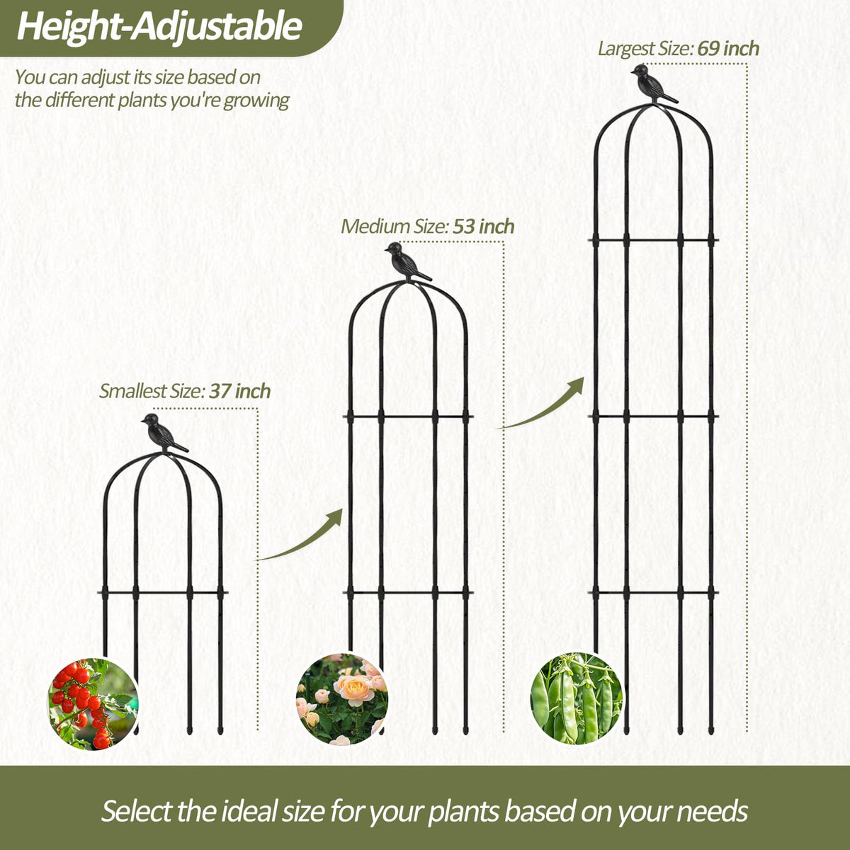 Trellume adjustable rings tailor growth stages for vines