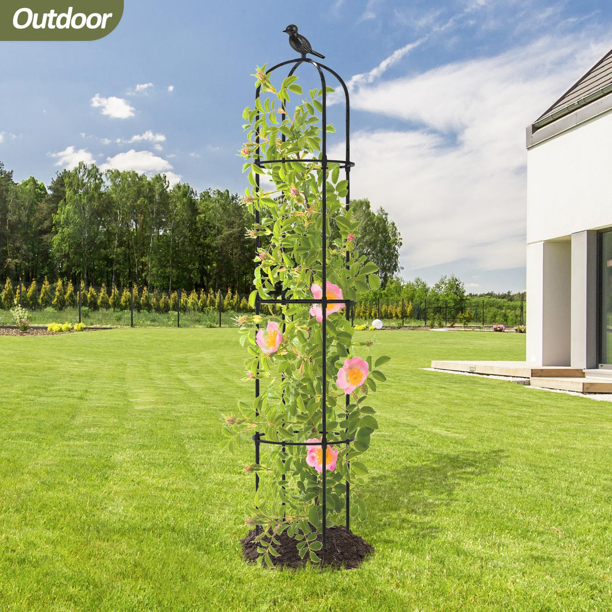 Trellume provides versatile plant support for flowers and vegetables