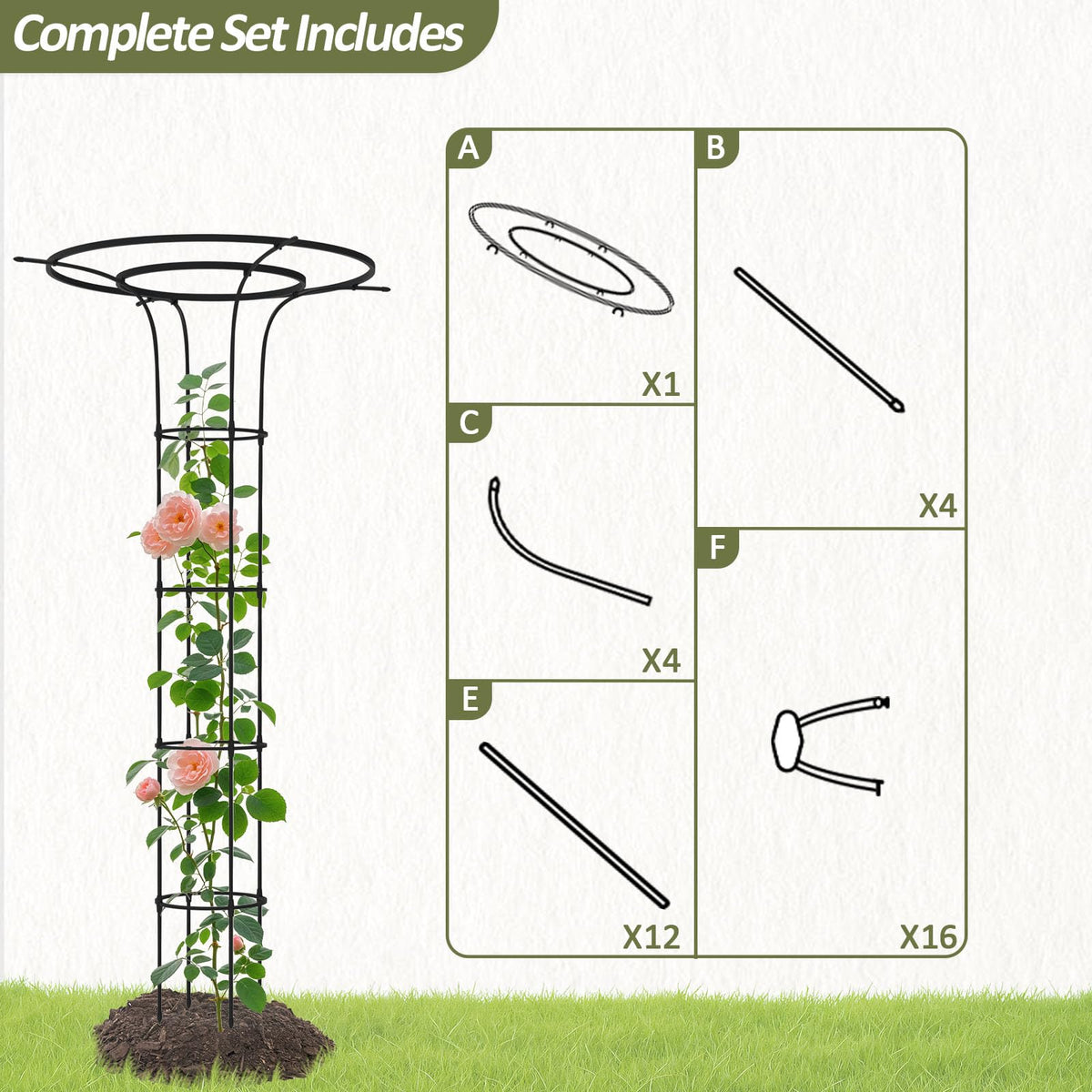 Indoor or outdoor use makes Trellume perfect for potted plants