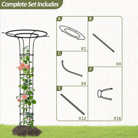 Indoor or outdoor use makes Trellume perfect for potted plants