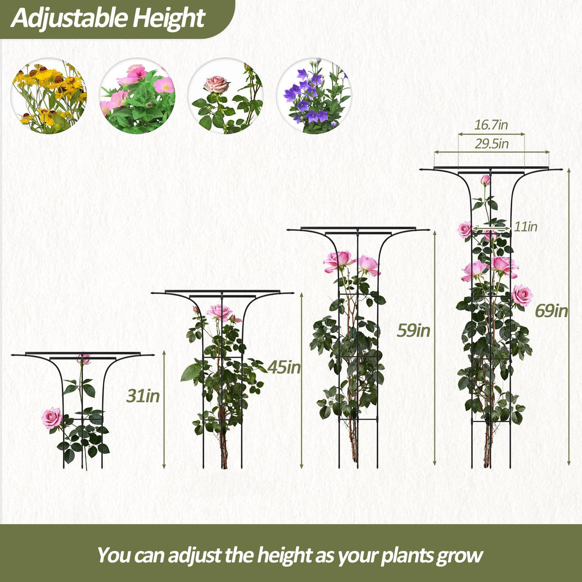Metal plant support by Trellume ideal for vines and jasmine