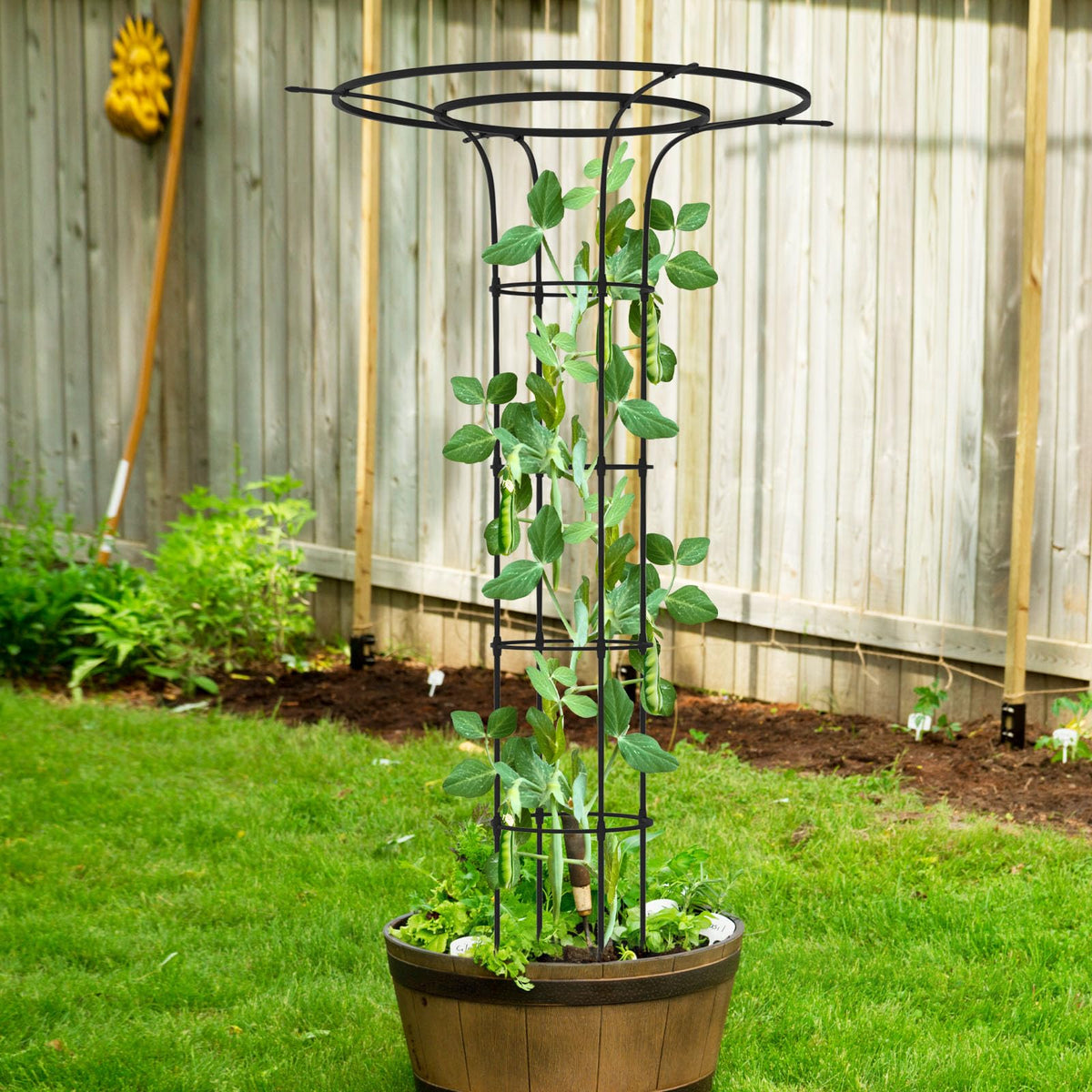 Versatile Trellume garden trellis enhances roses ivy and other vines