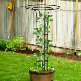 Versatile Trellume garden trellis enhances roses ivy and other vines
