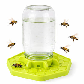 Tributary Brands bee feeder attached to a mason jar for steady hydration