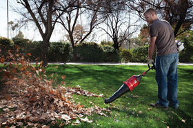 TrimmerPlus CB720 delivering up to 500 CFM for leaves and debris around outdoor spaces.