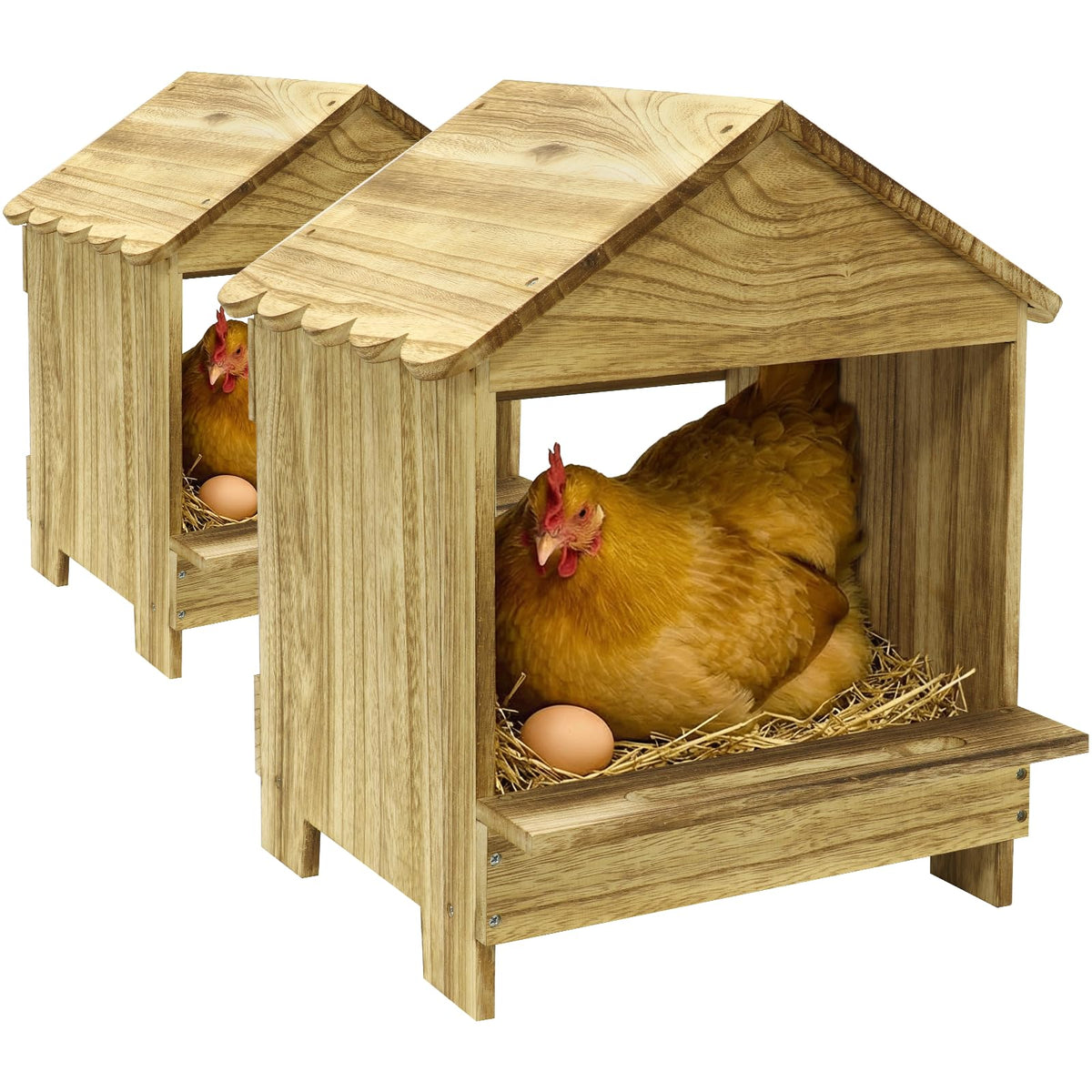 TRINFREE 2-pack wooden nesting boxes neatly organized in a coop for clean eggs.
