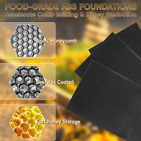 TRINFREE foundation with beeswax coating guides natural comb building.