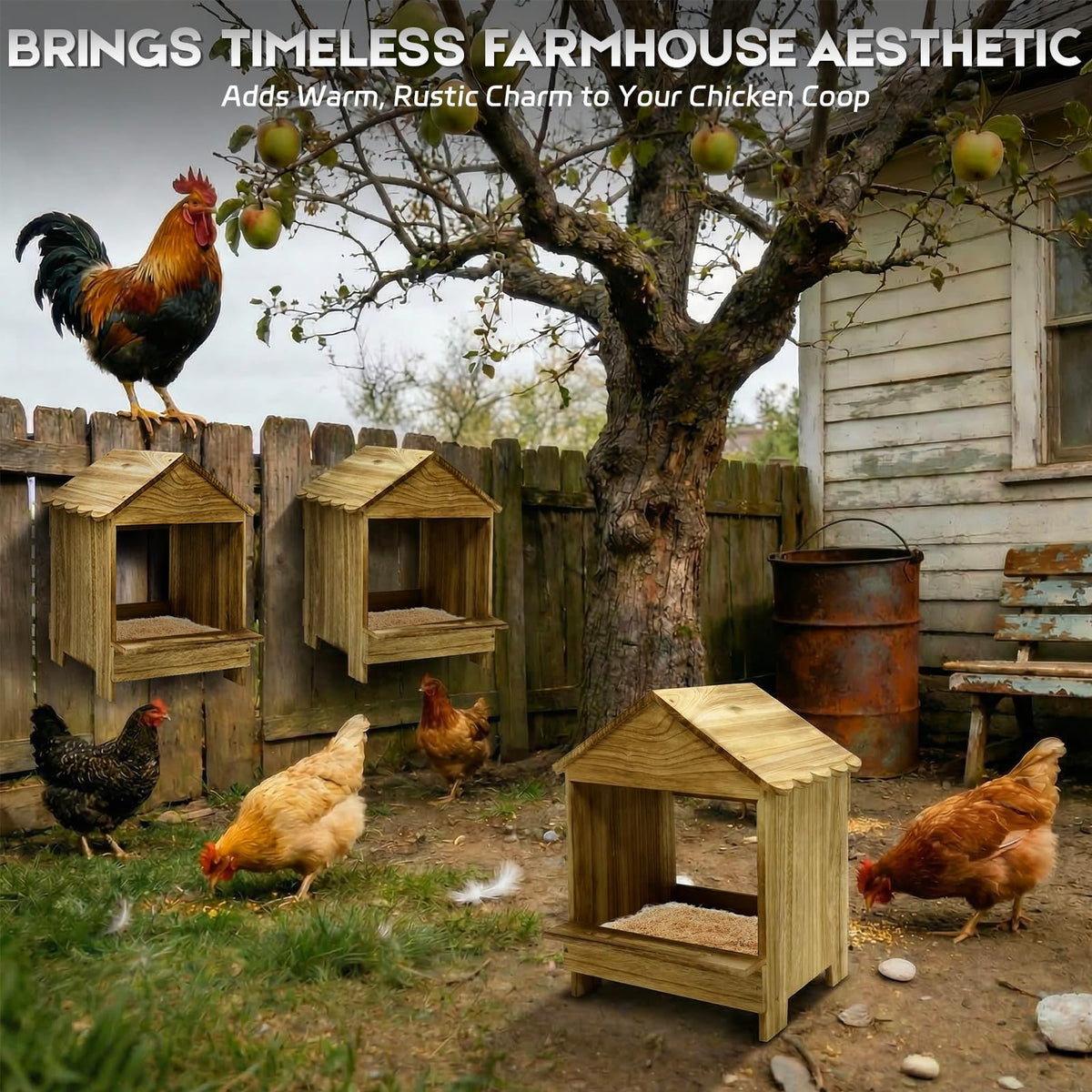 TRINFREE two nesting boxes support backyard flocks for daily egg collection.