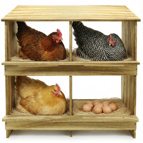 TRINFREE wooden 4-hole nest box top view showing two-tier layout for hens