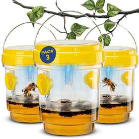 TriskelBlue solar wasp traps hanging on a tree to protect outdoor spaces