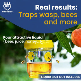 TriskelBlue wasp traps reusable design saves money over seasons