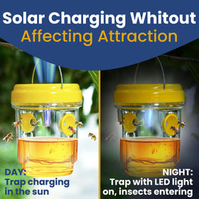 TriskelBlue traps transparent body lets you monitor captures easily