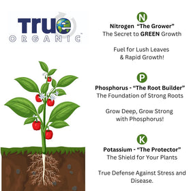 True Organic Bone Meal eco-friendly formula delivering natural plant nourishment.