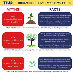 True Organic Bone Meal used in-ground garden to enhance soil vitality.