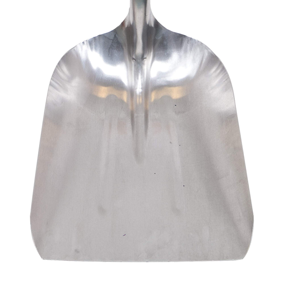 TRUE TEMPER scoop shovel showing D-Grip handle for comfortable control.