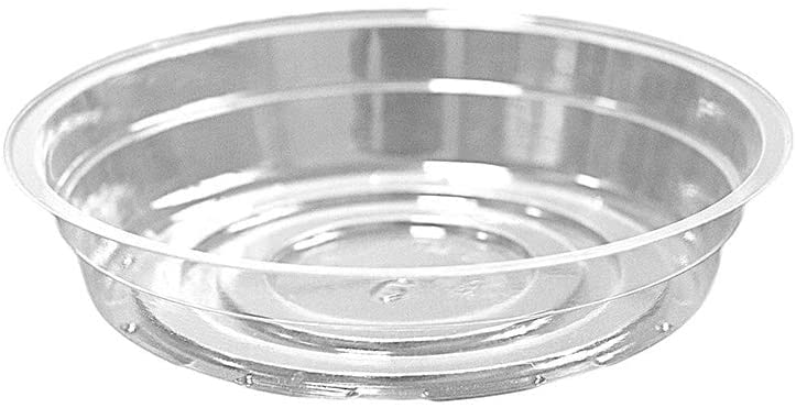 TRUEDAYS 8-inch plant saucer fits many pots and keeps areas clean