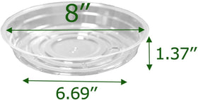 TRUEDAYS 8-inch saucer side view demonstrates stable base on surfaces