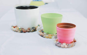 TRUEDAYS clear plastic saucer allows decorative rocks for style