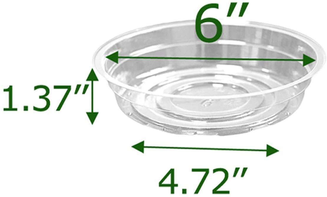 TRUEDAYS clear plant saucer drainage tray supports pot stability and prevents spills